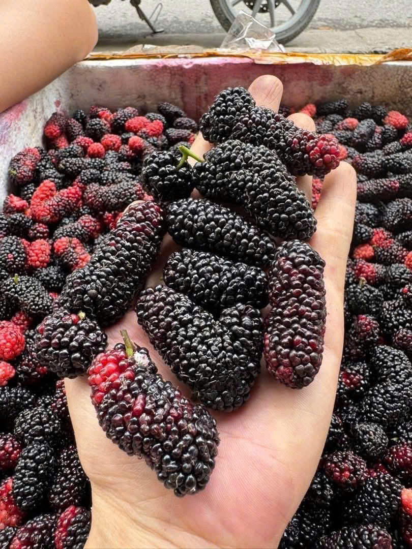 Dâu tằm ngâm nổi váng: Độc tố cần loại bỏ hay chỉ hớt váng là được?- Ảnh 1.