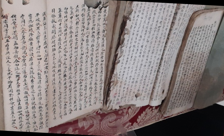 'Quỳ viên gia học' – viên ngọc quý của Đông y Việt Nam- Ảnh 4.