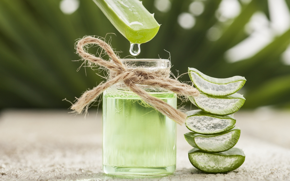 Lô hội tốt cho da như thế nào?