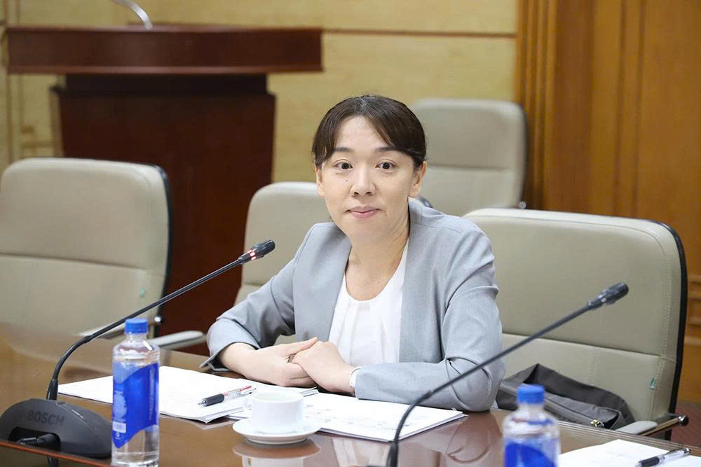 Thứ trưởng Nguyễn Tri Thức trao đổi với chuyên gia cố vấn của JICA: Thúc đẩy hợp tác y tế Việt Nam - Nhật Bản- Ảnh 3.