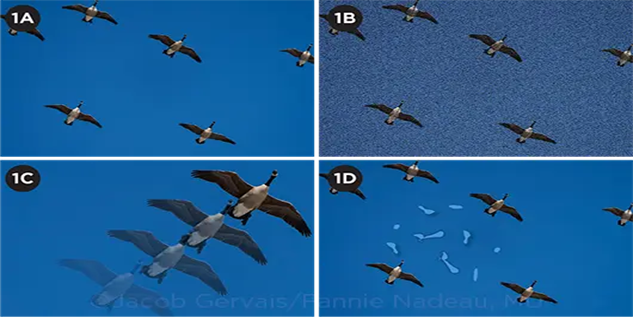 Cách nào cải thiện Hội chứng tuyết thị giác?- Ảnh 1.