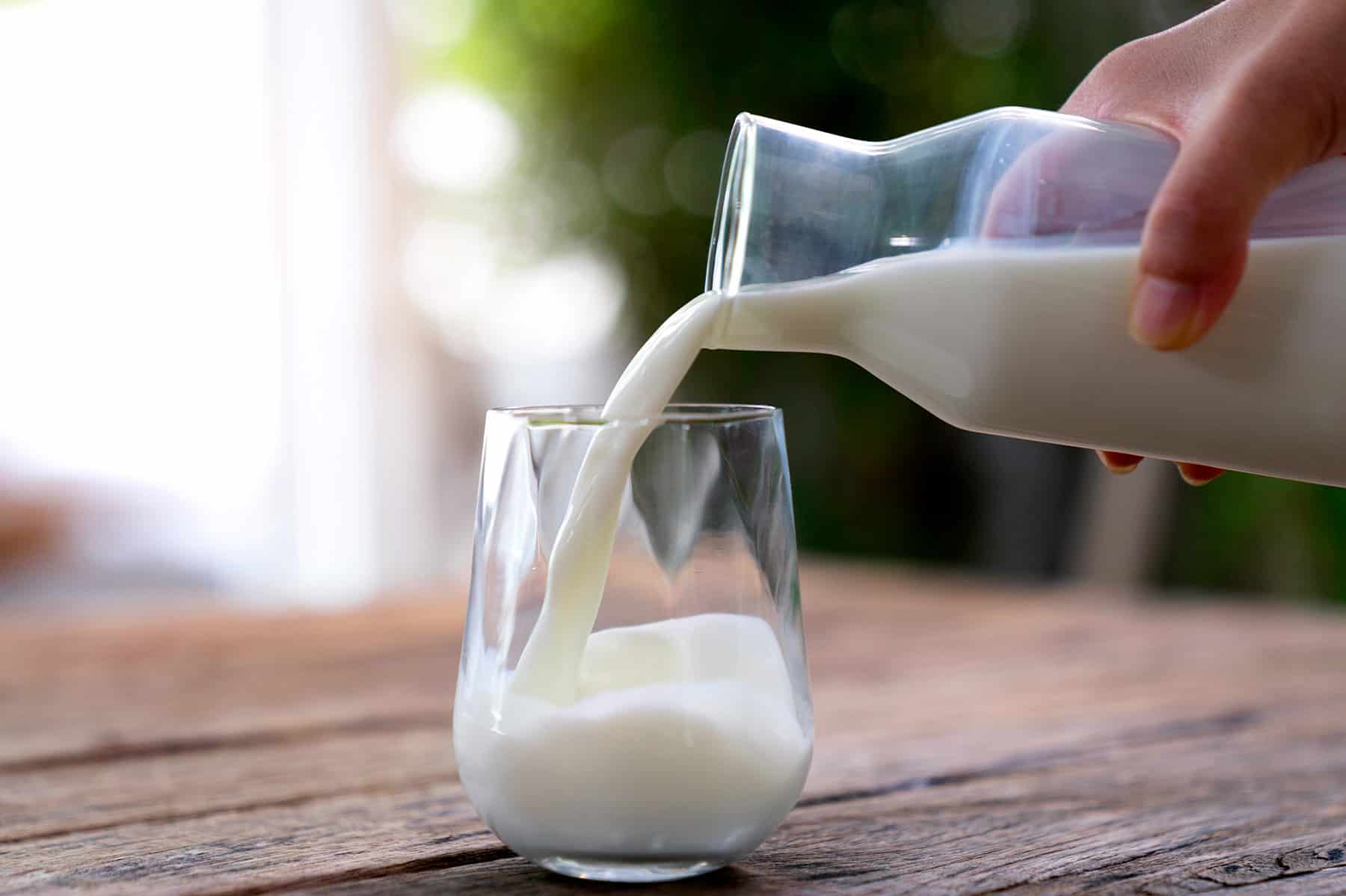 Uống nhiều sữa có tốt cho việc tăng cơ?- Ảnh 1.