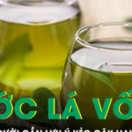 3 nhóm người cần lưu ý khi uống nước lá vối tươi