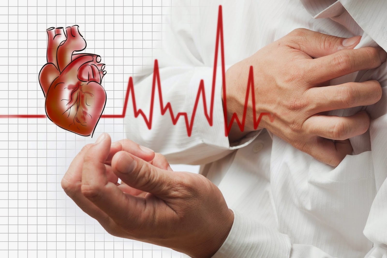 Bài tập tốt nhất cho người trên 50 tuổi- Ảnh 1.