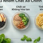 Có 2 hay 3 loại chất xơ thiết yếu và tại sao cần bổ sung đủ?