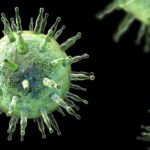 Các nhà khoa học vừa tìm ra cách ngăn chặn loại virus lây nhiễm tới 95% dân số thế giới