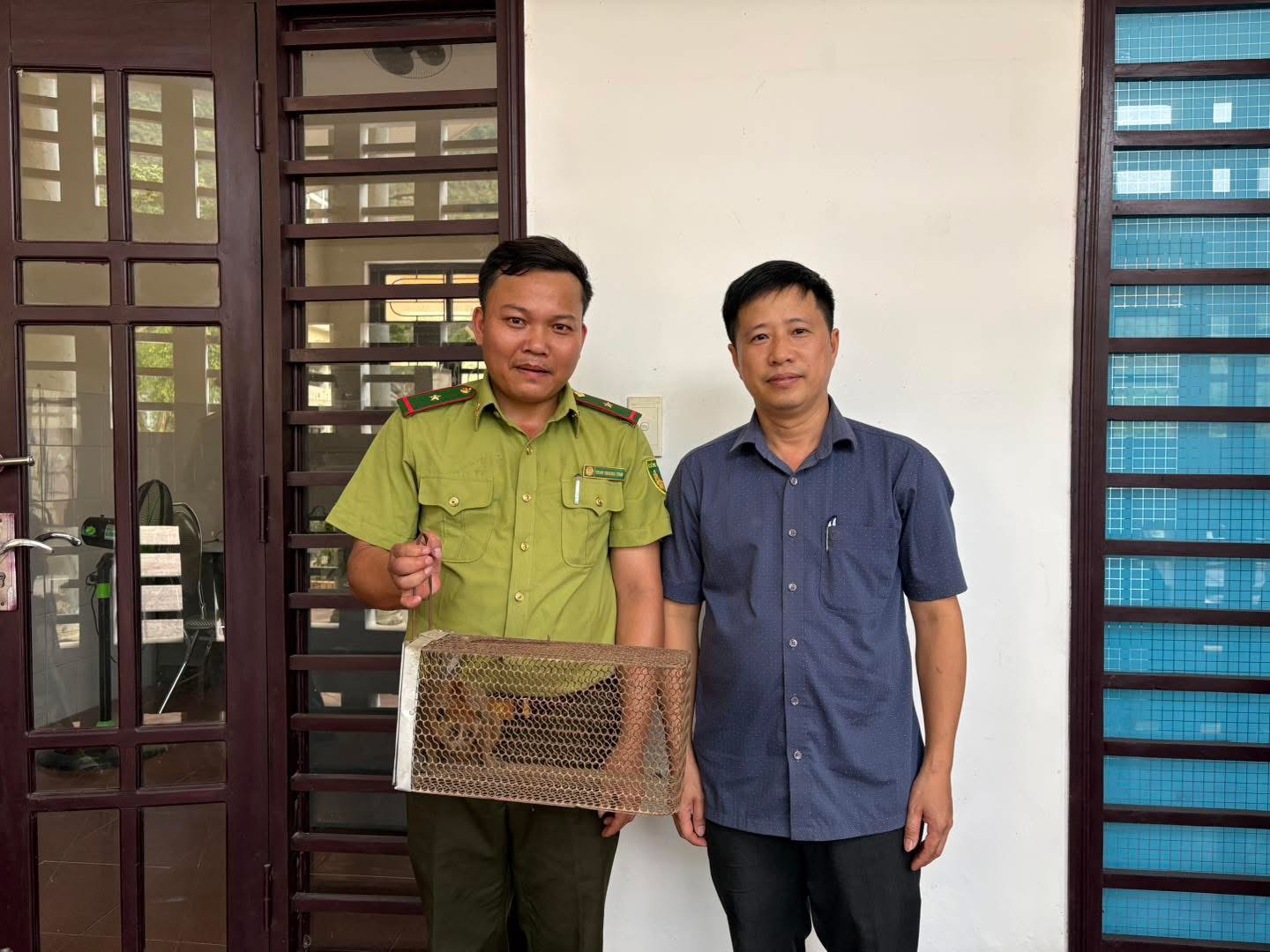 Cá thể linh trưởng quý hiếm đi lạc vào trụ sở trạm y tế- Ảnh 1. Cá thể linh trưởng quý hiếm đi lạc vào trụ sở trạm y tế- Ảnh 1.