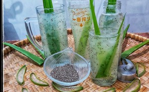 Cách dùng lô hội và hạt chia phục hồi tóc hư tổn