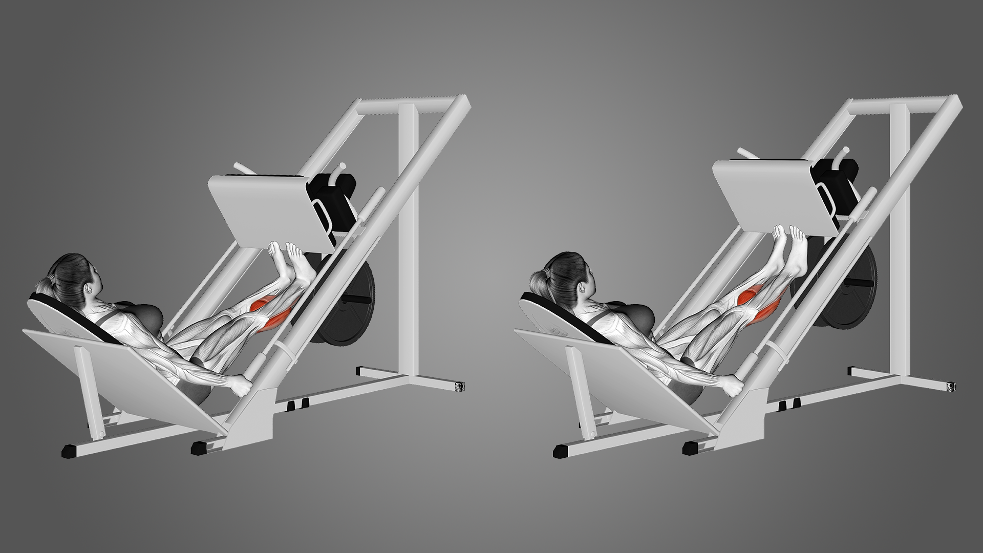 2 bài tập trong 30 ngày giúp giảm mỡ chân- Ảnh 3.