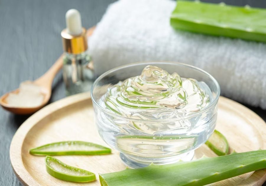Da dầu dùng gel lô hội được không? Những điều cần biết trước khi sử dụng- Ảnh 1. Da dầu dùng gel lô hội được không? Những điều cần biết trước khi sử dụng- Ảnh 1.