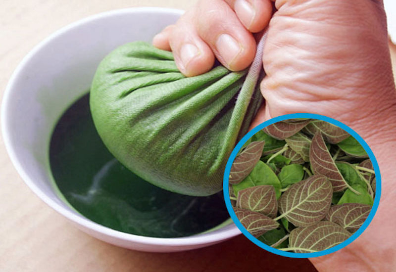 Nước lá mơ có tác dụng gì?- Ảnh 4. nuoc-ep-la-mo-long