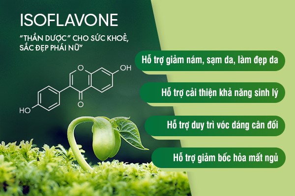 Isoflavone và hành trình trở thành lựa chọn của hàng triệu phụ nữ trong chăm sóc nội tiết tố- Ảnh 2. Isoflavone và hành trình trở thành lựa chọn của hàng triệu phụ nữ trong chăm sóc nội tiết tố- Ảnh 2.