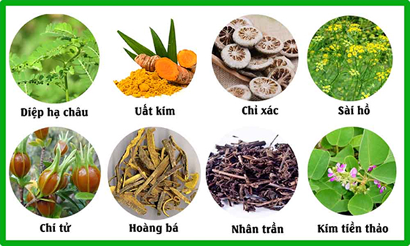 Vì sao sỏi mật hay tái phát và cách phòng ngừa hiệu quả- Ảnh 3.