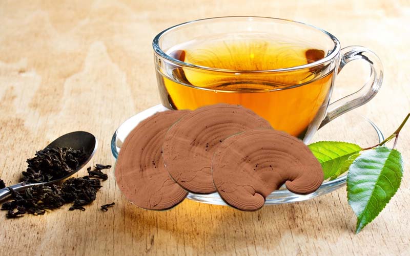Mùa hè có nên uống trà nấm linh chi hằng ngày?- Ảnh 2.