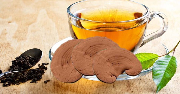 Mùa hè có nên uống trà nấm linh chi hằng ngày?