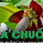 Hoa chuối giúp giảm mỡ máu, ổn định đường huyết và tốt cho hệ tiêu hóa