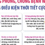 Chủ động phòng, chống bệnh Whitmore trong điều kiện thời tiết cực đoan