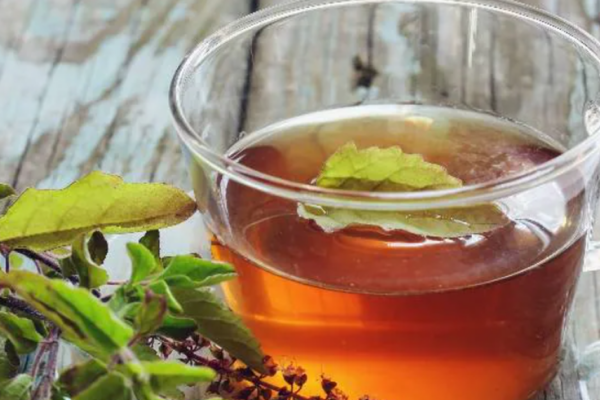 3 loại lá thông dụng hỗ trợ điều trị tăng huyết áp
