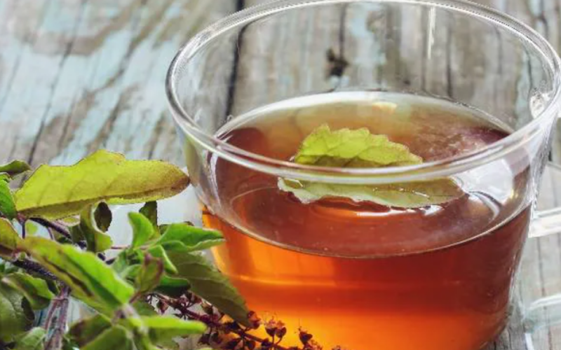3 loại lá thông dụng hỗ trợ điều trị tăng huyết áp