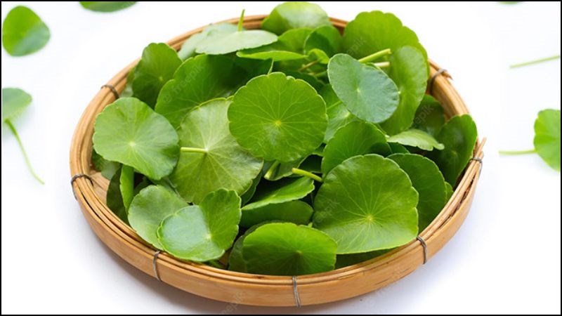 6 vị thuốc quen thuộc giúp mát gan trong ngày nắng nóng- Ảnh 1. 6 vị thuốc quen thuộc giúp mát gan trong ngày nắng nóng- Ảnh 1.