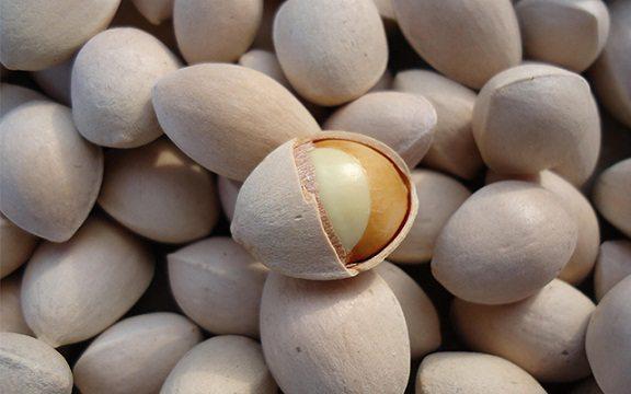 Bài thuốc từ mỡ lợn giúp bổ phế- Ảnh 2. Bài thuốc bổ phế thận từ cây bạch quả