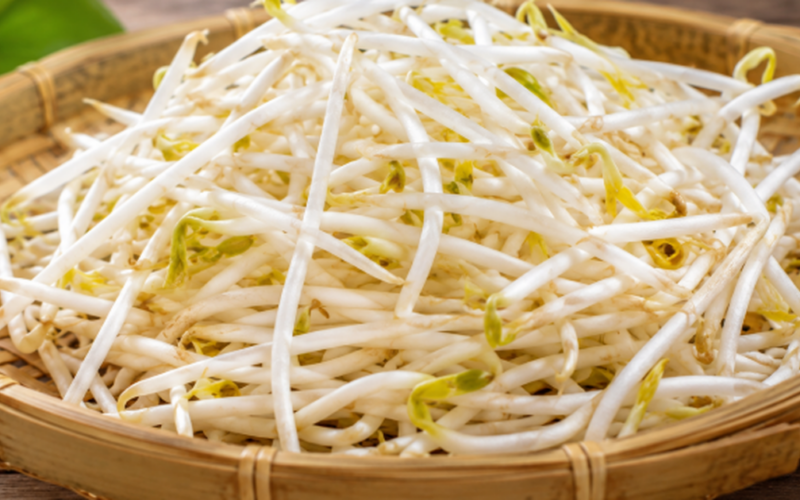Lý do nên ăn giá đỗ vào tháng Năm