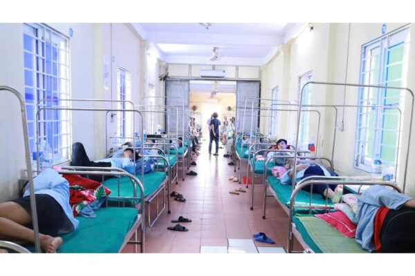 Phát hiện vi khuẩn Salmonella trong bánh mì gây ra vụ ngộ độc ở Nghệ An