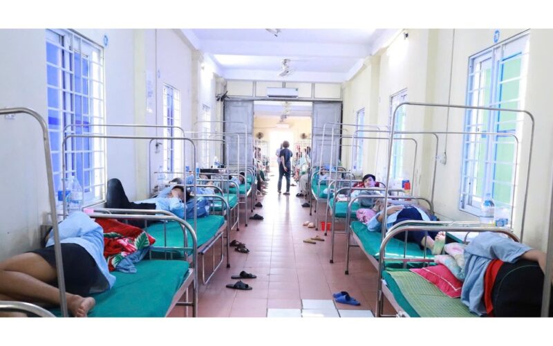 Phát hiện vi khuẩn Salmonella trong bánh mì gây ra vụ ngộ độc ở Nghệ An