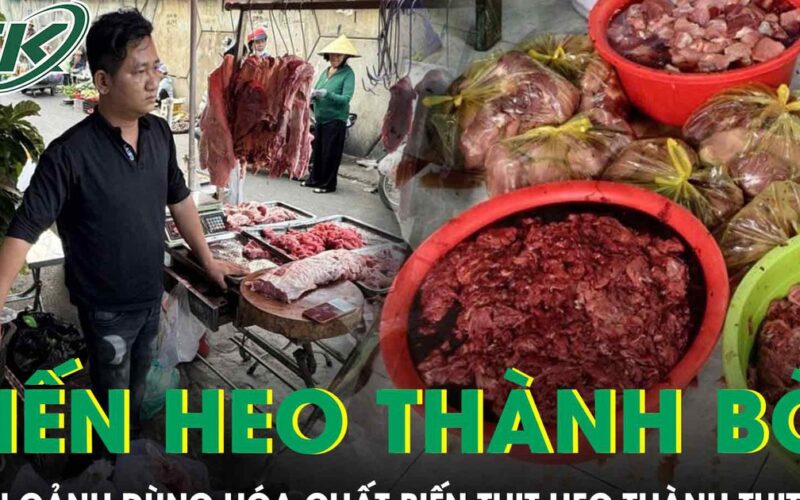 Cận cảnh quy trình dùng hóa chất ‘biến’ 65 tấn thịt heo thành thịt bò ở TP.HCM