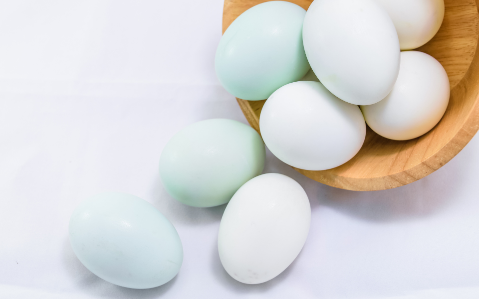 Trứng gà vỏ nâu tốt hơn và ít cholesterol hơn trứng gà vỏ trắng?- Ảnh 2. Trứng gà vỏ nâu tốt hơn và ít cholesterol hơn trứng gà vỏ trắng?- Ảnh 2.