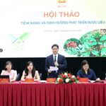 Tiềm năng và định hướng phát triển dược liệu nâng tầm cây thuốc Việt