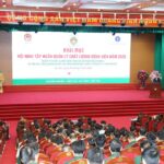 Nâng chuẩn chất lượng bệnh viện: Lấy an toàn người bệnh làm ‘thước đo vàng’