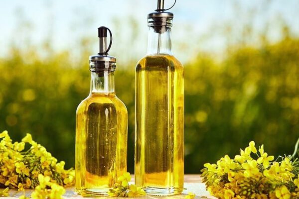 Nhu cầu sử dụng dầu mỡ của mỗi người, mỗi lứa tuổi: Dùng đúng để cơ thể khỏe mạnh hơn