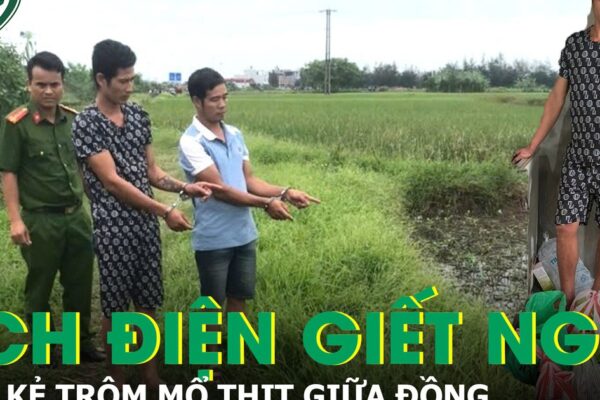 Bắt giữ 2 kẻ kích điện giết nghé, mổ thịt ngay giữa đồng để phi tang
