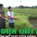 Bắt giữ 2 kẻ kích điện giết nghé, mổ thịt ngay giữa đồng để phi tang