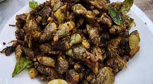 Bộ Y tế yêu cầu xác minh, xử lý vụ 9 người nhập viện sau khi ăn ve sầu ở Quảng Trị- Ảnh 1.