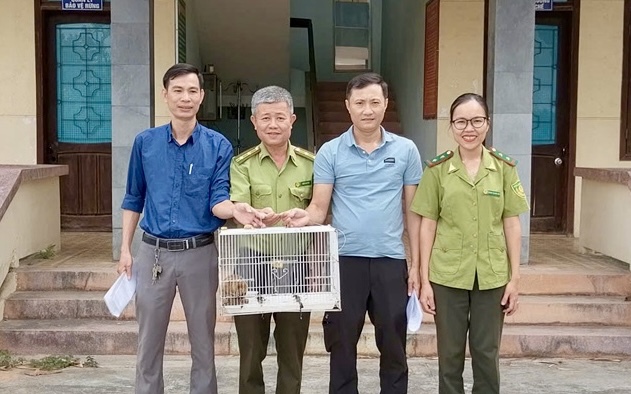 Phát hiện cá thể linh trưởng quý hiếm có