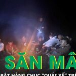 Công an thức trắng đêm truy quét hàng chục “quái xế”, náo loạn đồi săn mây
