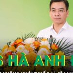 TS.BS Hà Anh Đức: Cuộc thi ‘Cơ sở y tế không khói thuốc lá’ lần II sẽ tạo sức lan tỏa mạnh mẽ