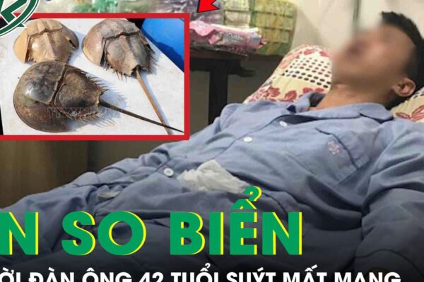 Người đàn ông 42 tuổi suýt mất mạng do ăn so biển