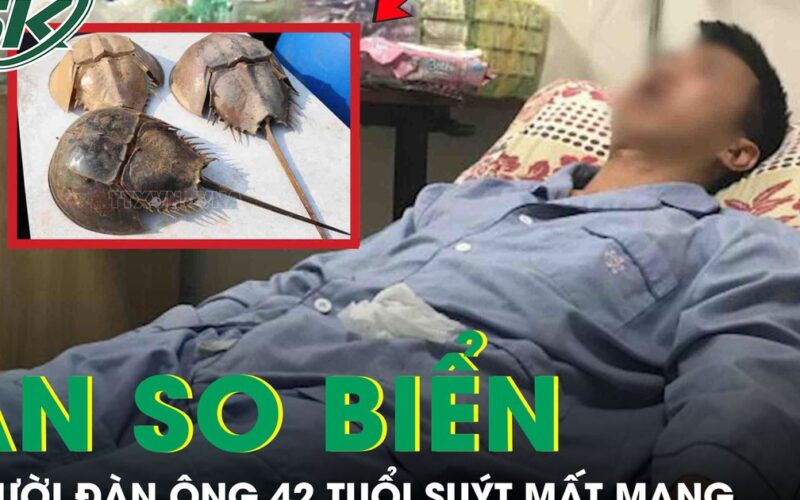 Người đàn ông 42 tuổi suýt mất mạng do ăn so biển