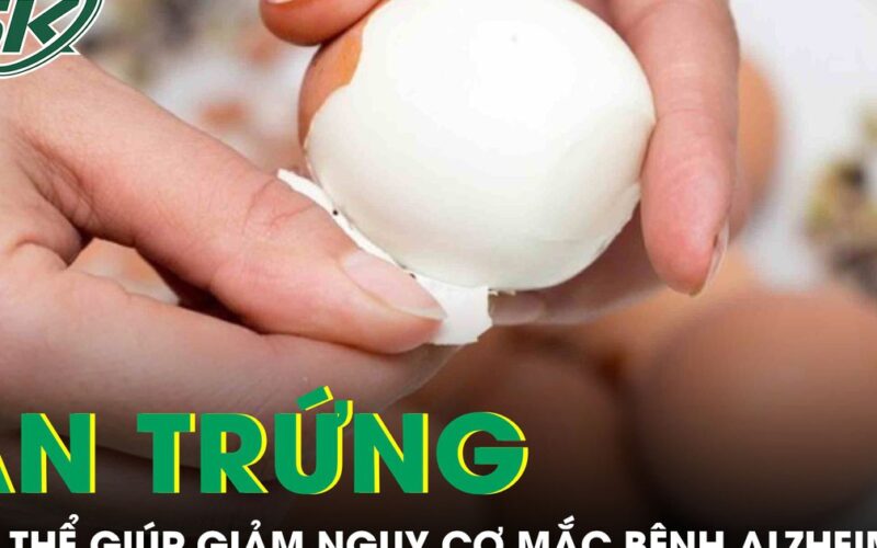 Ăn trứng thường xuyên có thể giúp giảm nguy cơ mắc bệnh Alzheimer