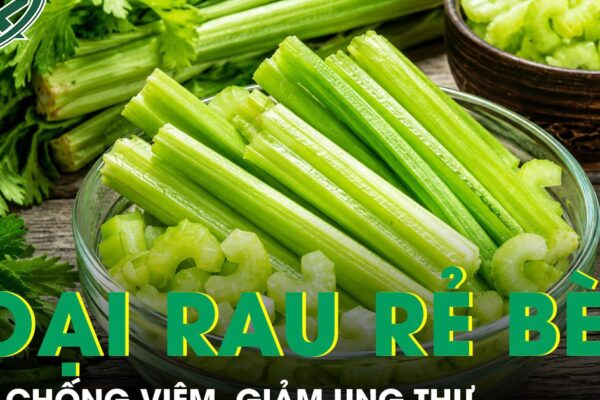 Loại rau rẻ bèo giúp chống viêm, giảm ung thư