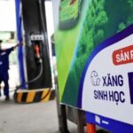 Có nên sử dụng phụ gia chống tách nước khi dùng xăng E10?