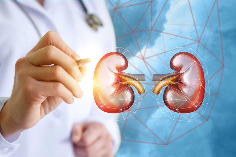 Suy thận cấp có điều trị được không, cách phòng bệnh hiệu quả?- Ảnh 1.