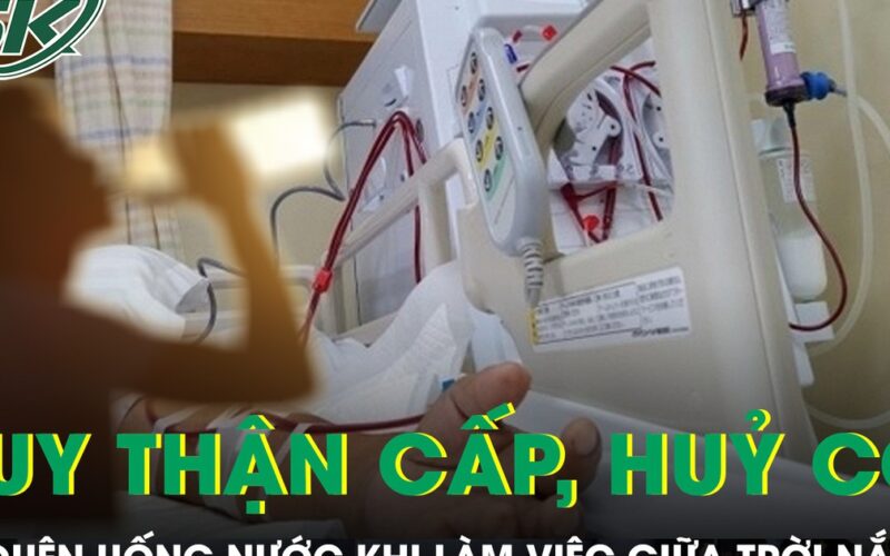 Chàng trai 25 tuổi suy thận cấp, hủy cơ vì quên uống nước khi làm việc giữa trời nắng