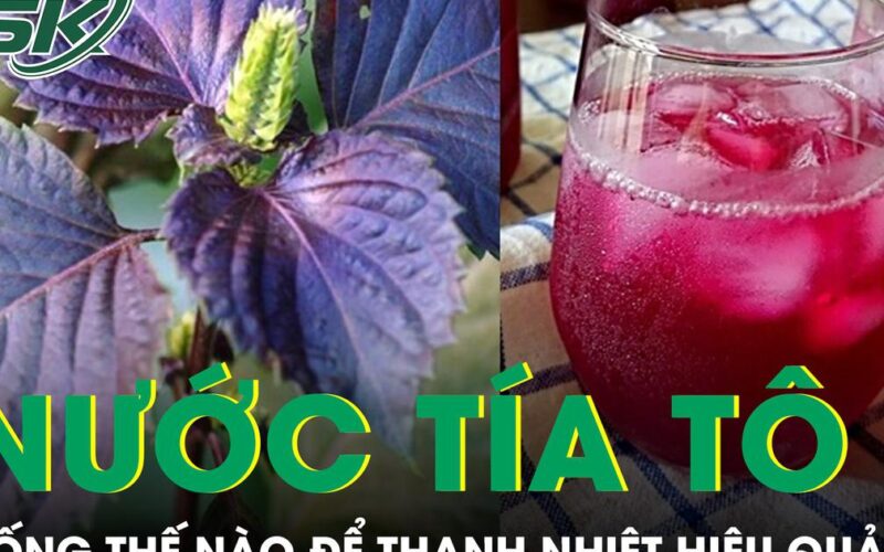 Uống nước tía tô mùa nắng nóng thế nào để thanh nhiệt hiệu quả