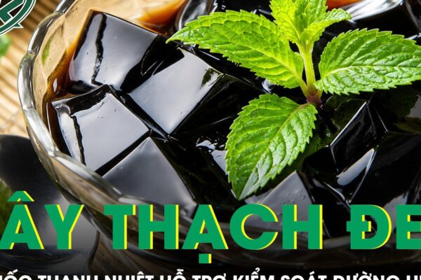 Loại cây làm thạch đen quen thuộc hóa ra là vị thuốc thanh nhiệt hỗ trợ kiểm soát đường huyết