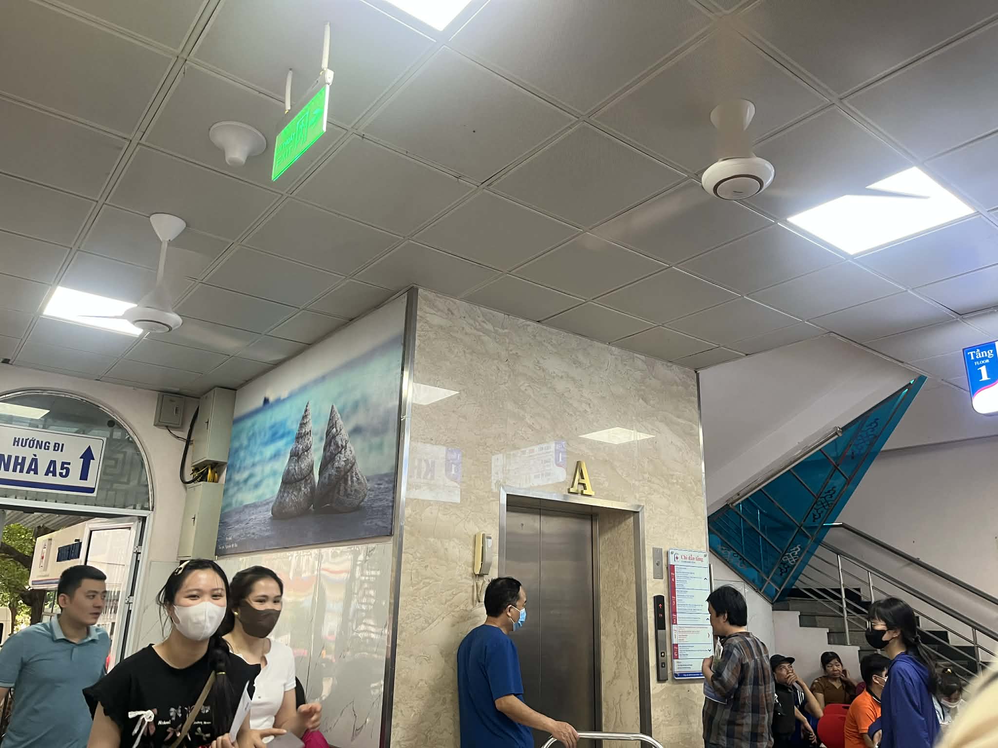 Những khoảng mát giữa bệnh viện ngày nắng nóng- Ảnh 9.