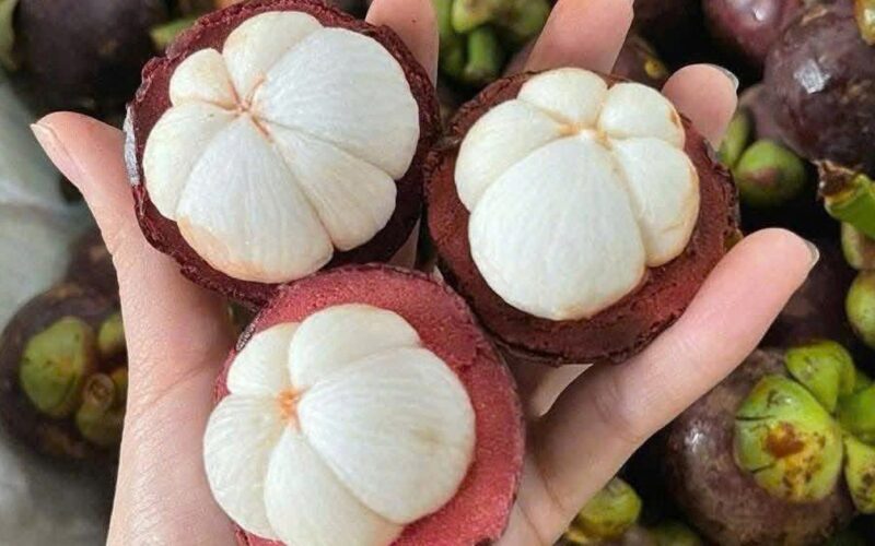 Điều gì xảy ra với cơ thể khi thường xuyên ăn măng cụt?